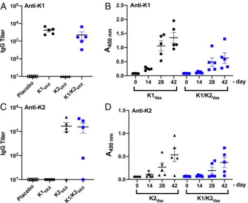 Fig. 5. IgG responses to K1 and K2 bioconjugate vaccines. (A) Titers of K1-specific IgG antibodies in mice immunized with EPA, K1-EPA, K2-EPA, or a bivalent K-/K2-EPA