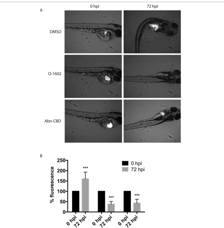 FIGURE 8 | Effect of atypical cannabinoids on the viability of Paclitaxel-resistant breast cancer cells in vivo