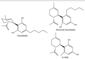 FIGURE 1 | Structure of the compounds used in this study; O-1602 and  abnormal cannabidiol, compared to cannabidiol.