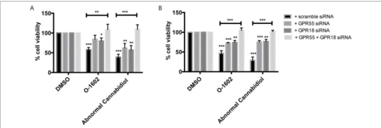 FIGURE 4 | Receptor dependence of effect on cell viability. (A) Effect of the GPR55-, GPR18-speciic small interfering RNAs (siRNAs), or combination of siRNAs for  both targets on cell viability in (B) MDA-MB-231 PR cells and (B) MCF-7 PR cells
