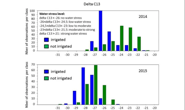 FIGURE 4 | Distribution of δ 13 C values in the population grown with and without irrigation, in 2014 and 2015.