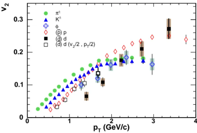 FIG. 2: (color online) Comparison of differential v 2 (p T ) for φ mesons, (d)d, π ± , K ± , and (p)p (as indicated)