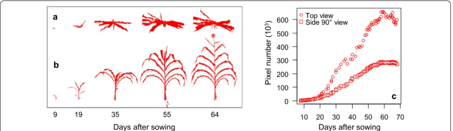 Fig. 5  Plant representations at different development stages (1–8 weeks after sowing) for top (a) and side (b) images