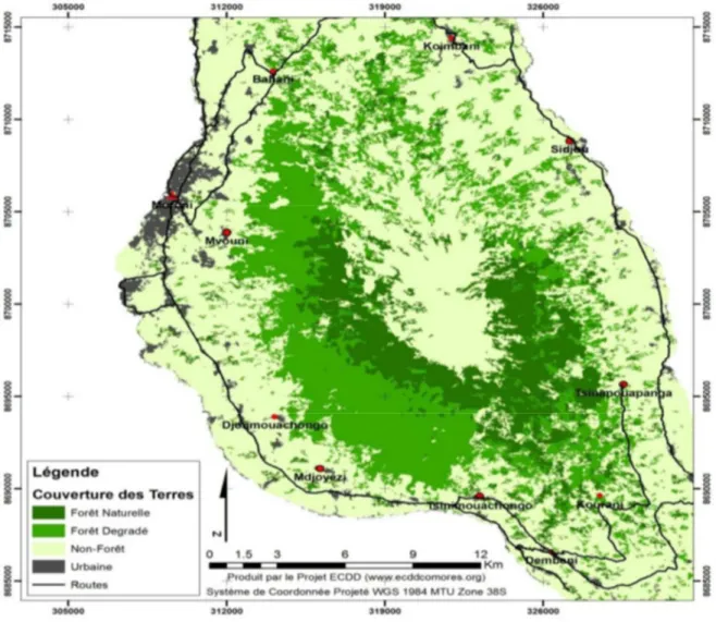 Figure 6: Carte de la forêt naturelle restante du massif du Karthala en 2010 (ECDD 22 2014) 