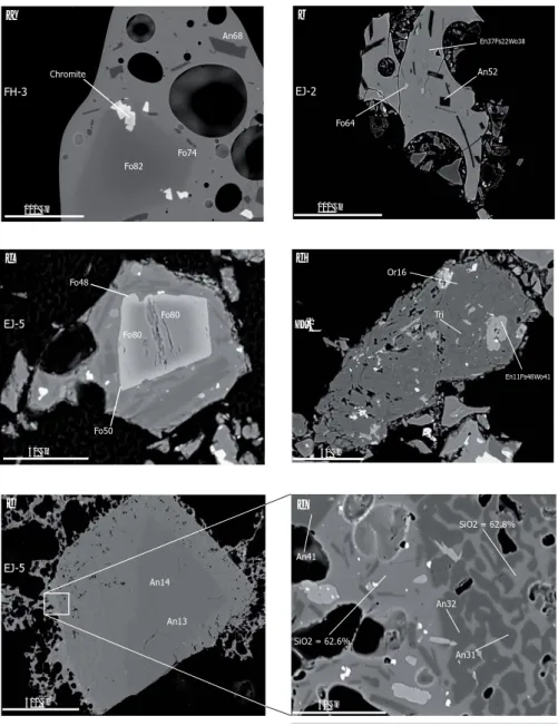 Fig. 2. Backscattered-electron images of individual tephra grains from the 2010 Eyjafjallajökull eruption: (a) basalt produced 1 April during the flank eruption at Fimmvörðuháls; (b) evolved basalt emitted together with tephra of silicic and intermediate c