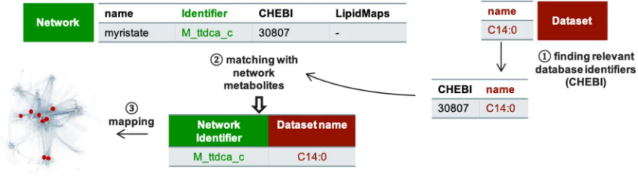 Table 2), discriminating NASH from healthy and NAFL liv- liv-ers. We manually retrieved the ChEBI identifiers for these  32 lipids and mapped them onto the metabolic network  Recon2.2 in order to identify potential metabolic pathways  and reactions related