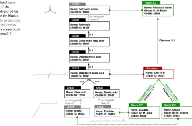 Fig. 2    Example of lipid map- map-ping. Relevant part of the  ChEBI ontology is depicted on  the left of the Figure (in black)