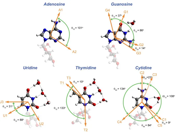 Figure 6. Transition dipole orientations (orange arrows) of the normal modes from DFT  calculations on the five deuterated nucleosides