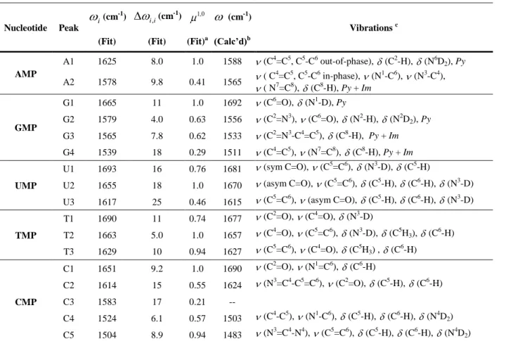 TABLE 1: Characterization for the five deuterated NMPs in D 2 O in experiments and DFT  calculations
