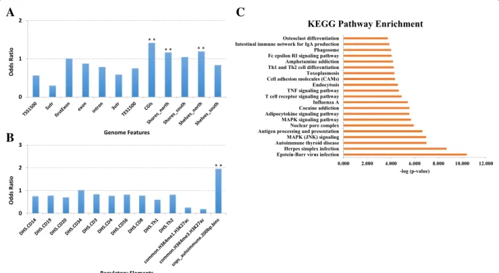 Fig. 3 Results of genomic element enrichment analysis of ACPA-associated DMRs. a Genome feature enrichment analysis