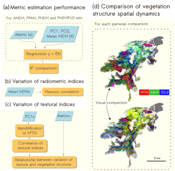 Figure 2. Representation of the methodological framework used to study the influence of radiometry, spatial resolution and fusion on the characterization of vegetation structure with combined textural and radiometric indices with (a) the comparison of the 