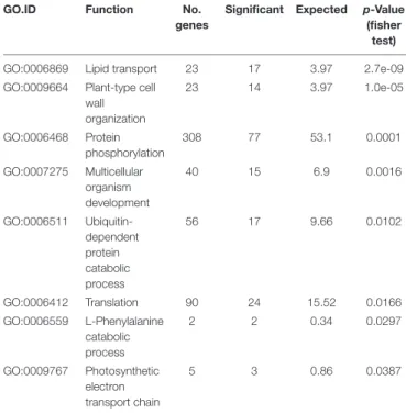 TABLE 3 | GO term enrichment of the 1179 genes affected by SVs.