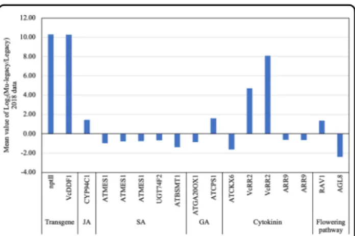 Fig. 3 Differentially expressed transcripts (DETs) (PDR < 0.05) of the hormone and ﬂ owering genes identi ﬁ ed from the comparison of leaf tissues of Mu-legacy and ‘ Legacy ’ plants in the current study (2018)
