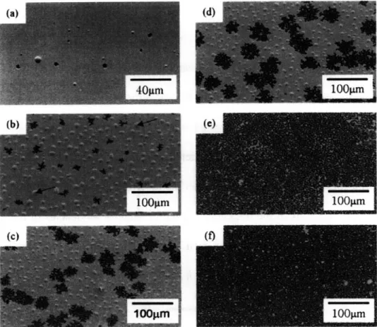 Figure 2.8:  SEM  images  of 50nm  Au films  on  SiO 2  annealed  in H 2  at  700C for various  times
