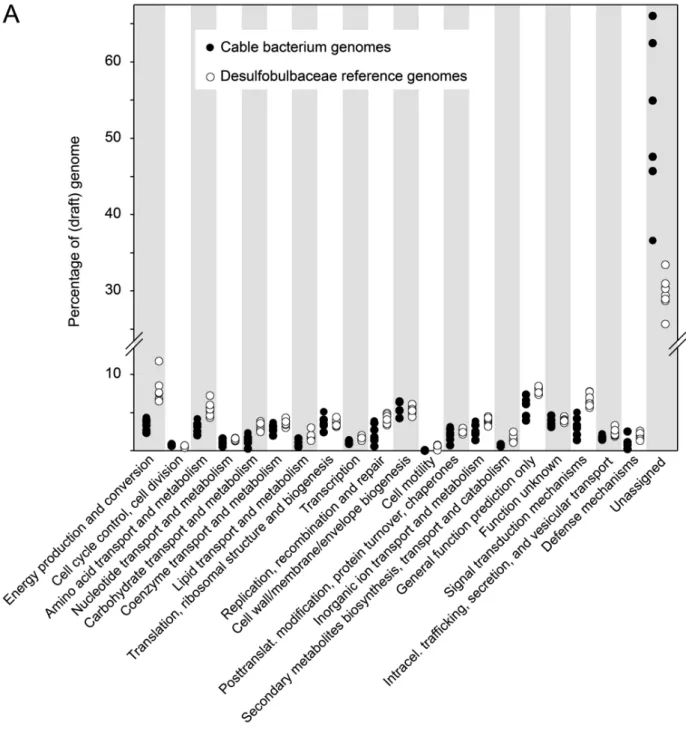 Figure S1. COG-based profiling of gene function.  