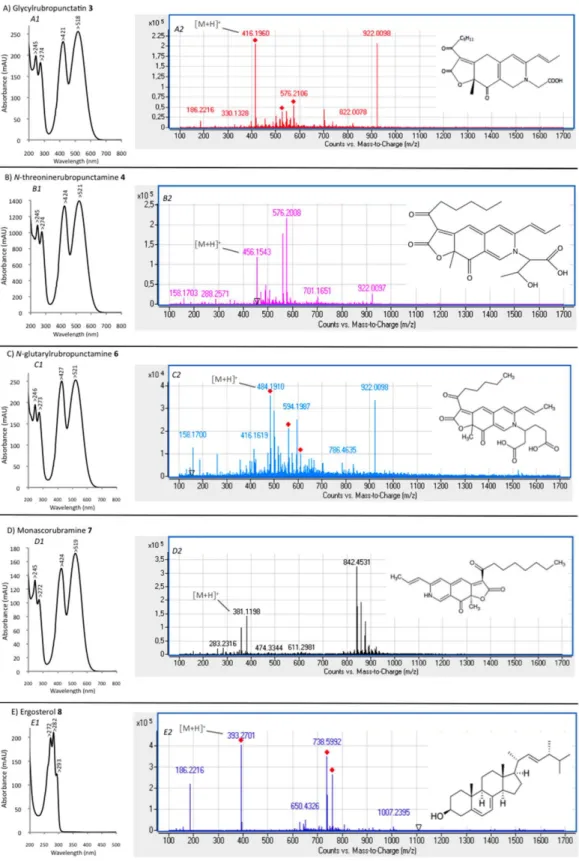 Figure 5. UV-visible  absorption (A1,  B1,  C1,  D1,  E1) and mass spectra (A2,  B2,  C2,  D2,  E2) of the  identified or assumed compounds detected in intracellular extracts of the marine isolate Talaromyces  spp