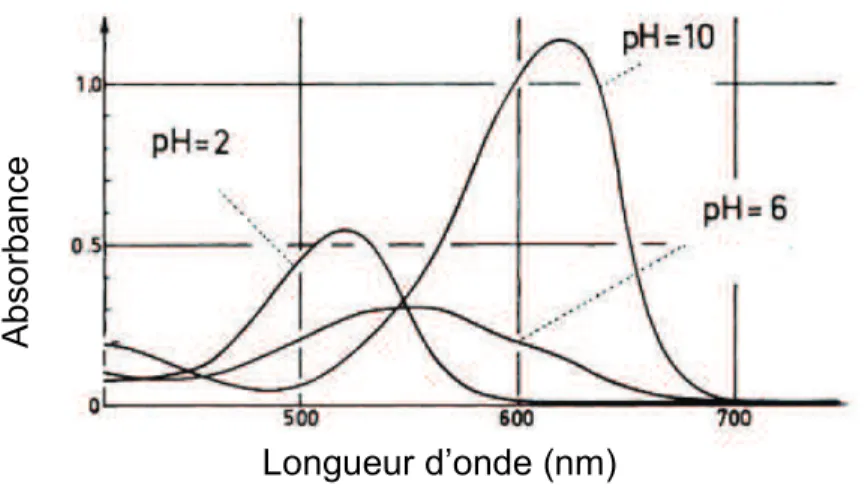 Figure  9 :  spectre  d’absorption  visible  de  la  malvidine  3-O-glucoside  à  pH  2,  6  et  10 (25 °C) (Brouillard, 1982) 