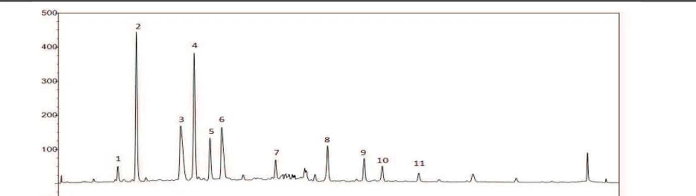 Table  15:  Polyphenol  identification  in  Hibiscus  sabdariffa  extract  and  HPLC  chromatogram (5-60min) at 360 nm of Hibiscus sabdariffa extract: 