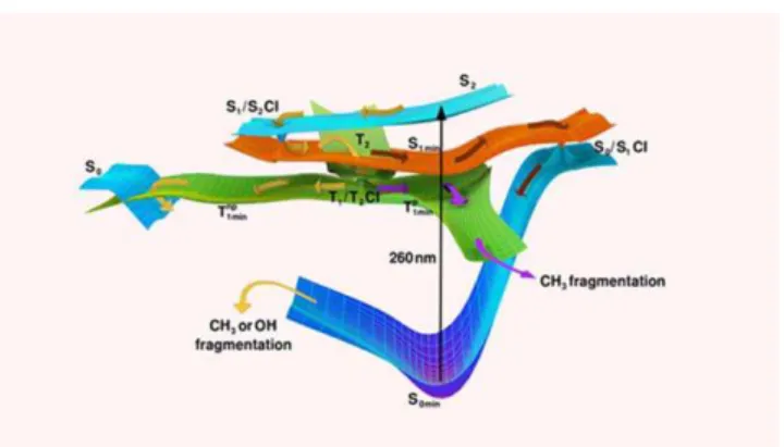 Figure 11. Schematic view of the photoexcited species which are formed and their time evolution