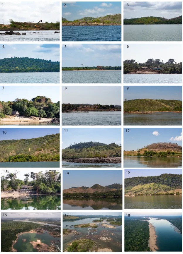 Figure 2. Cont.