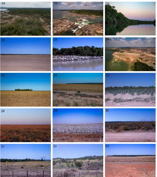 Figure 2. Examples of field photographs used to train the visual interpretation of the imagery for  selecting classification and regression tree (CART) classification training and validation points
