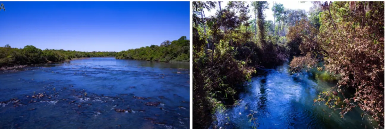 Figure 3. Open rivers wider than a single pixel (i.e., > 30 m) such as in the photograph on the left are  included in the classifications