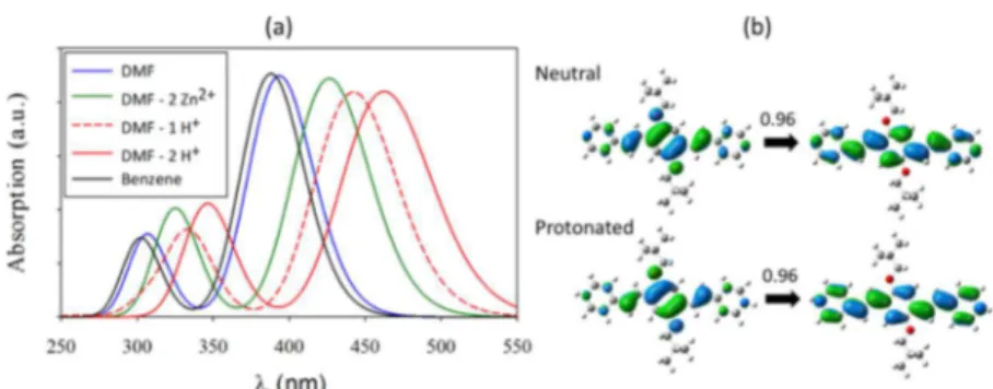 Figure 5. Illustration of the structure of TDC-MOF-8. The Np-P4VB (blue) sca ﬀ old links the Zn-TDC square arrays into a slightly tilted layered structure.