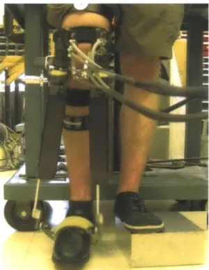 Figure  1.  The Anklebot  and knee  brace  were  attached  on  a  subject in  a standing  position with  the  dominant foot clear of the ground.