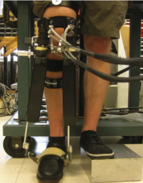 Figure  1.  The  Anklebot  and  knee  brace  were  attached  on  a  subject  in  the  standing position with the dominant foot clear of the ground