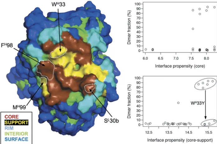 Figure 6. Correlations of experimental self-association propensities in the SnAggR dataset with calculated interface propensities based on a priori knowledge of the self-assembly mode