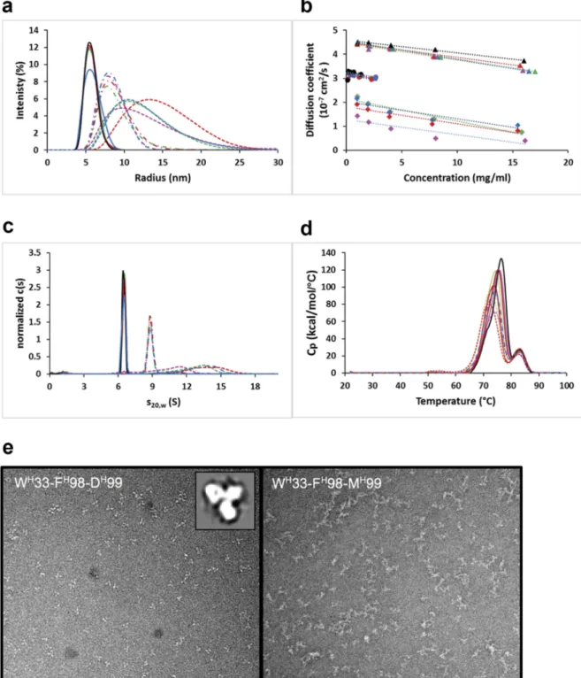 Figure 2. Aggregation behavior of parental bH1 and affinity-matured human IgG1/ κ full-size antibody variants