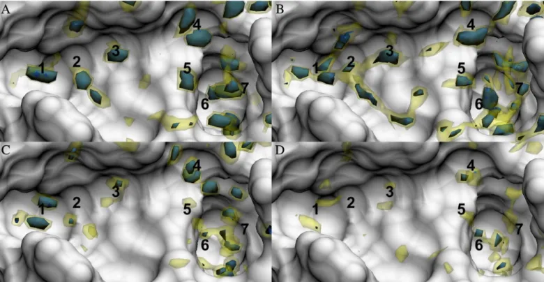 Fig 2. Solute-water pair distribution functions in the FXa binding site. Oxygen pair distribution functions as calculated by (A) MD and (B) 3D-RISM