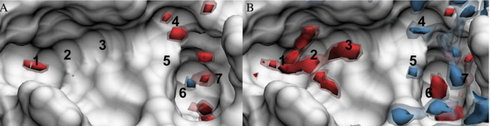 Fig 5. Total water energy density distributions in the FXa binding site. (A) GIST and (B) 3D-RISM with molecular reconstruction