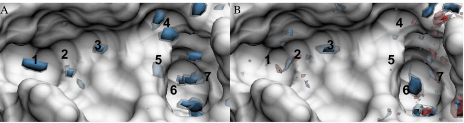 Fig 6. Total water entropy (-TΔS) density distributions in the FXa binding site. (A) GIST and (B) 3D-RISM with molecular reconstruction