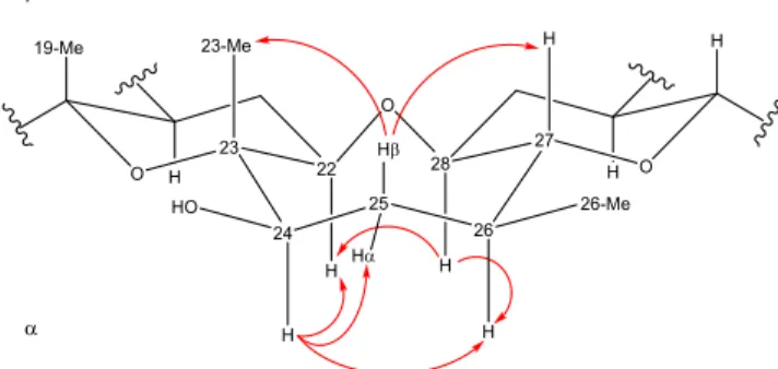 Figure 5. 3D representation of 24-hydroxyYTX and observed ROESY correlations (red arrows).