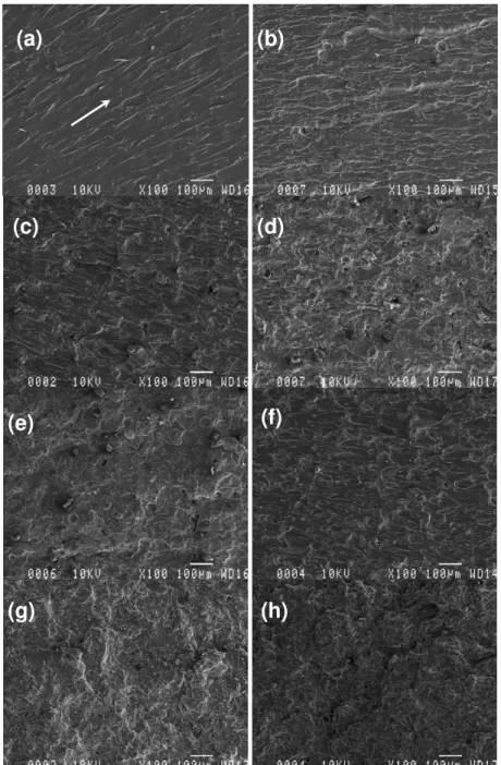 Figure 7: SEM images of UPE: (a) R2, (b) R2 with 10% Ab, (c) R2 with 20% Ab, (d) R2 with 30% Ab, (e) R2 with  40% Ab, (f) R2 with 10% AT, (g) R2 with 20% AT, and (h) R2 with 30% AT 