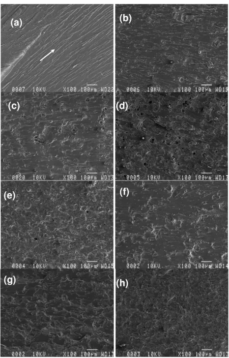 Figure 8: SEM images of UPE: (a) R9, (b) R9 with 10% Ab, (c) R9 with 20% Ab, (d) R9 with 30% Ab, (e) R9 with  40% Ab, (f) R9 with 10% AT, (g) R9 with 20% AT, and (h) R9 with 30% AT 