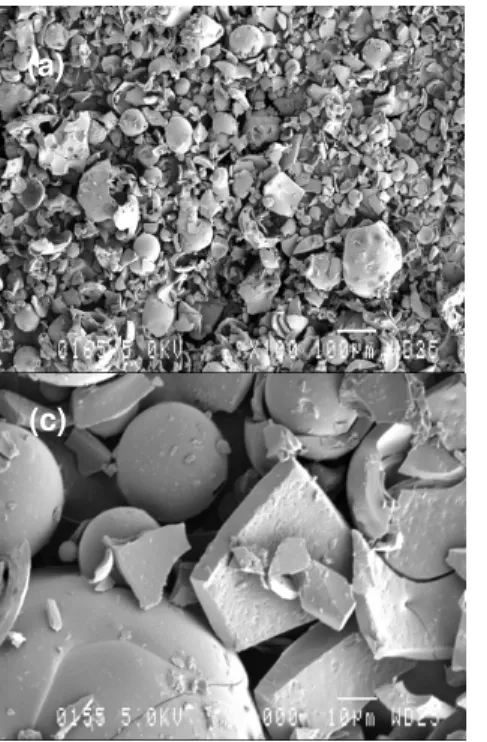 Figure 3: SEM images of Indulin AT (a, c) and ArboSO1 (b, d) under two different magnifications  This means that their viscosities do not remain 