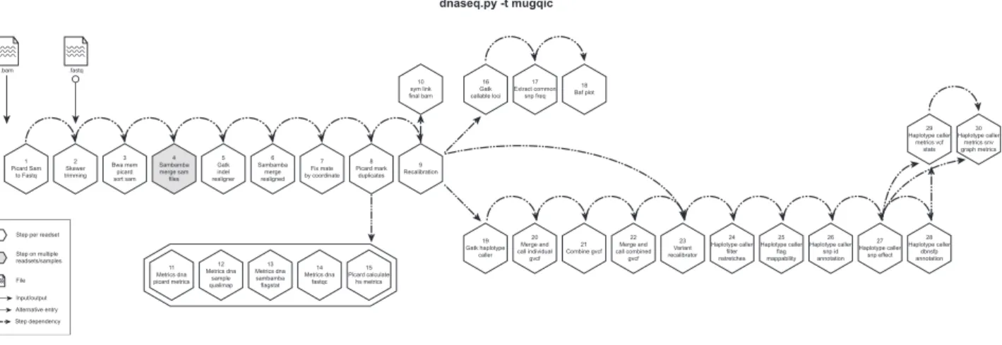 Figure 3: GenPipes DNASeq pipeline diagram. Schematic representation of GenPipes’ dnaseq.py pipeline