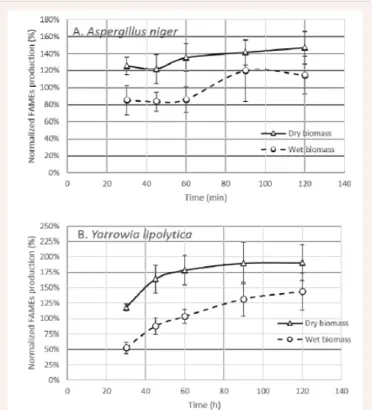 Figure  3  Plots  of  the  FAMEs  production  by  direct  methanolysis  for  the  dry  and  wet  biomass  of  (A)  Aspergillus  niger  and  (B)  Yarrowia  lipolytica, normalised to the two- step extraction/esterification, versus  the reaction time