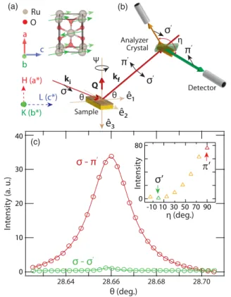 FIG. 2. Magnetic ordering from polarization dependence of the scattered intensity at the (1 0 0) reflection