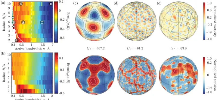 FIG. 2. Phase diagrams [(a),(b)] and representative still images [(c) – (e)] from simulations showing quasistationary burst dynamics ( B phase), anomalous vortex-network turbulence ( A phase), and classical 2D turbulence ( T phase)