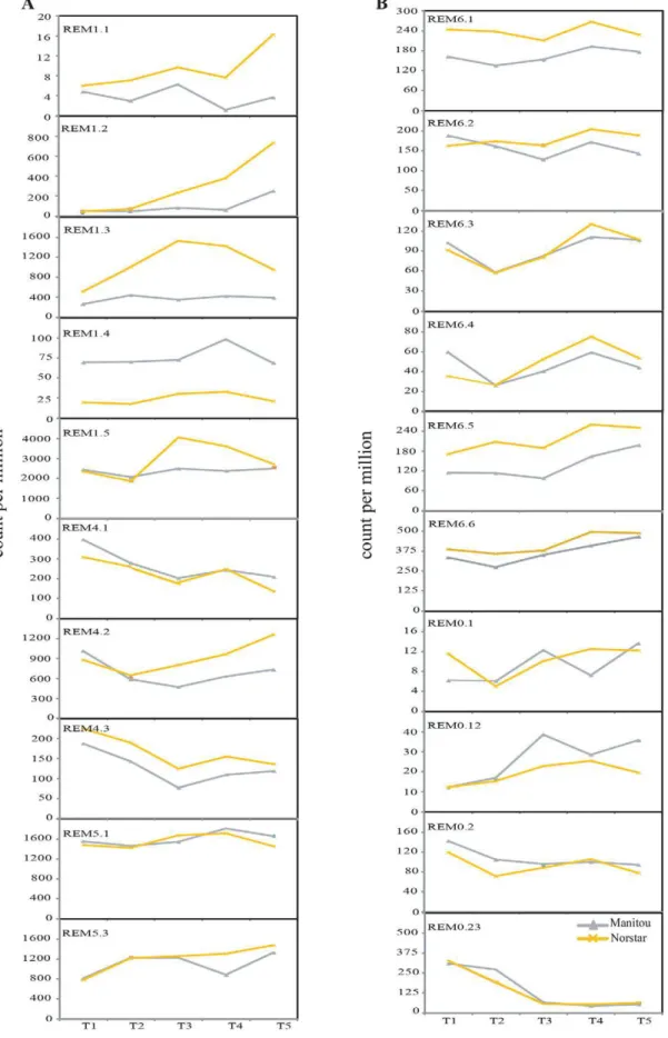 Fig. 6. Digital gene expression profiles of remorin (TaREM) genes based on the transcriptome data from the field study of 2010