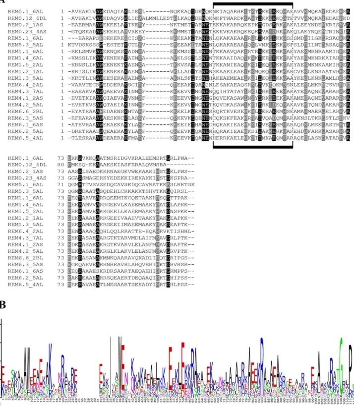 Fig. 1. Conserved motif analysis of the remorin (REM) C-terminal sequences in wheat. (A) Multiple sequence alignment of wheat REM motif is  shown