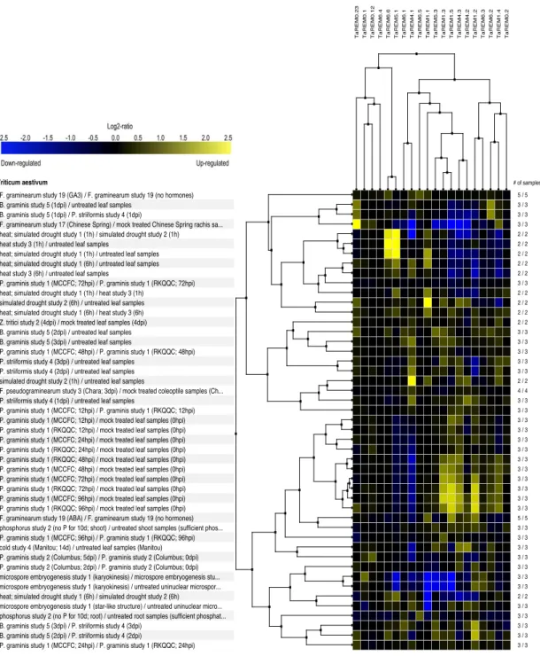 Figure  S2.  A  Gene  expression  analysis  of  twenty  TaREM  genes  from  published  RNA-Seq  data