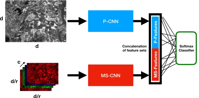 Figure 1. General Overview of MultiResoLCC. The model is based on a two-branch CNN architecture to deal with panchromatic and multispectral information sources at their native resolution