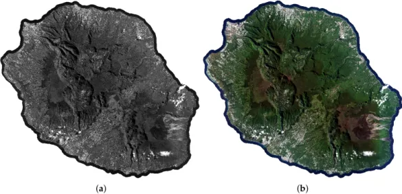 Figure 4. SPOT6 panchromatic (a) and multispectral (b) images of the REUNION site.