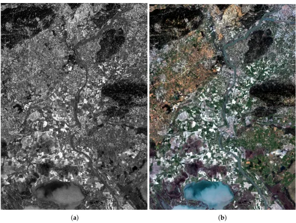 Figure 5. SPOT6 panchromatic (a) and multispectral (b) images of the GARD site.