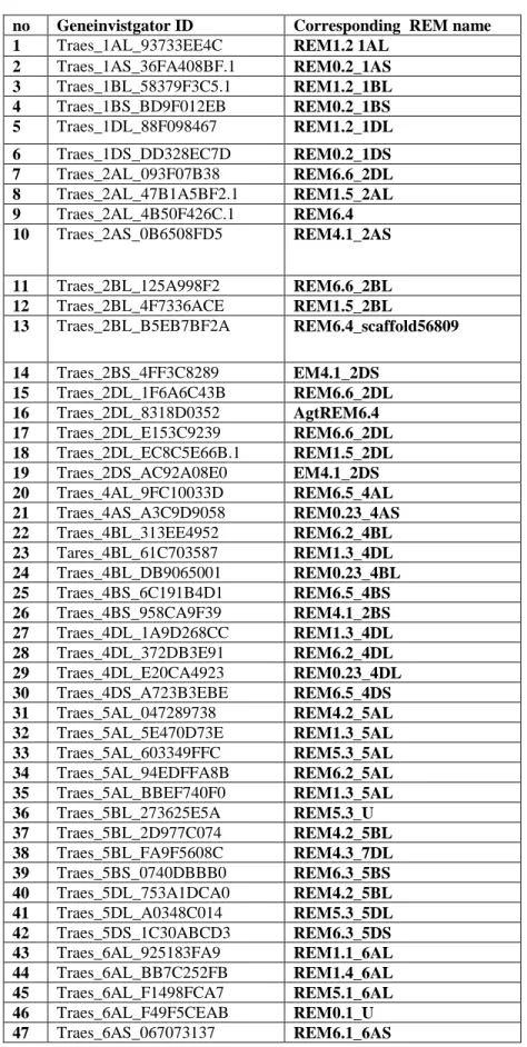 Table S4. REM Genevestigater ID.  