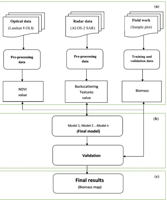 Figure 2. Flowchart describing the methodology of this study: (a) pre-processing, (b) modeling, and  (c) mapping